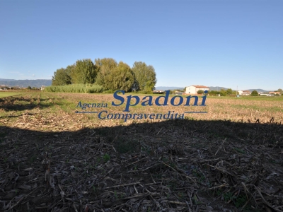 immagine annuncio 3 di 6