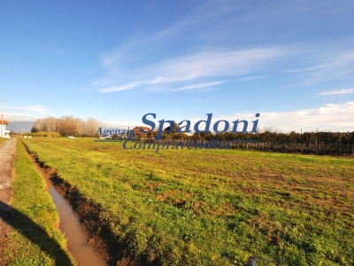 immagine annuncio 2 di 7