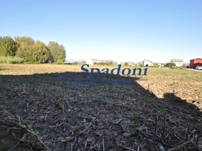 immagine annuncio 5 di 7