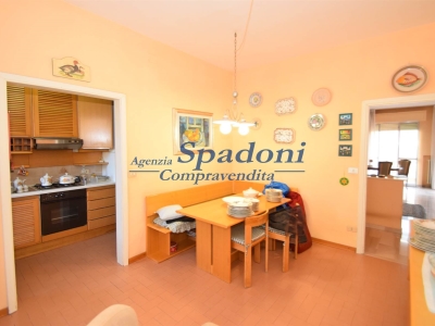 immagine annuncio 5 di 9