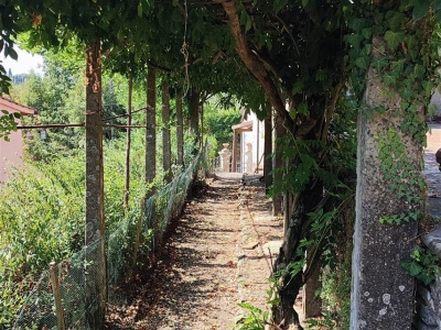 immagine annuncio 2 di 9