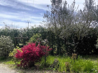 immagine annuncio 8 di 9