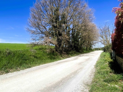 immagine annuncio 3 di 9