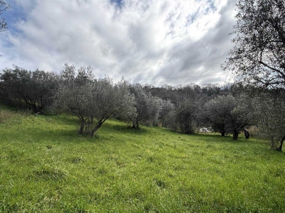 immagine annuncio 3 di 8