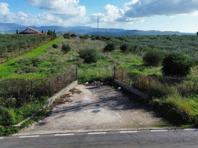 immagine annuncio 2 di 9