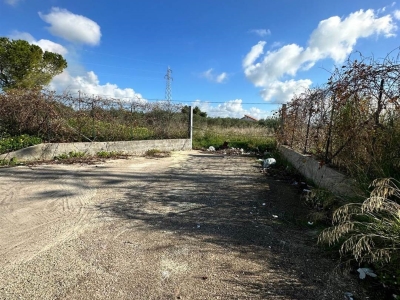 immagine annuncio 6 di 9