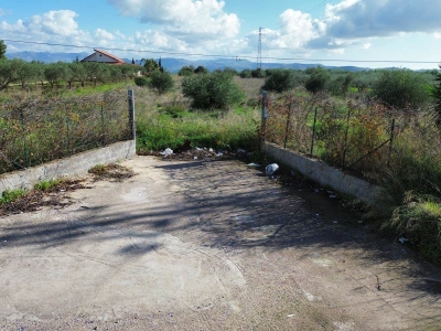 immagine annuncio 1 di 9