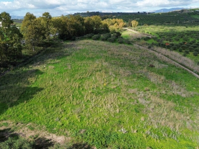 immagine annuncio 8 di 9