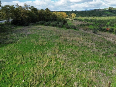 immagine annuncio 6 di 9