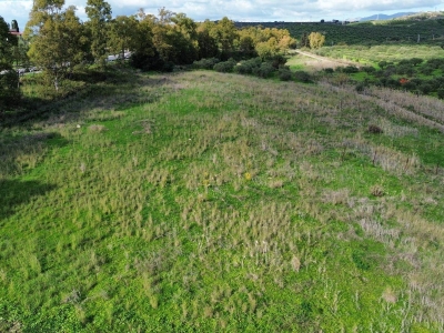 immagine annuncio 5 di 9