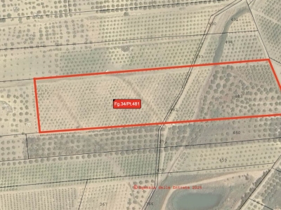 immagine annuncio 1 di 2