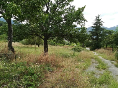 immagine annuncio 7 di 9