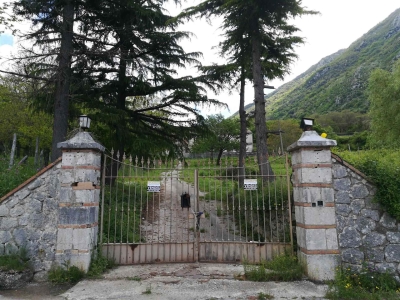 immagine annuncio 2 di 9