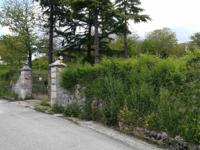 immagine annuncio 3 di 9