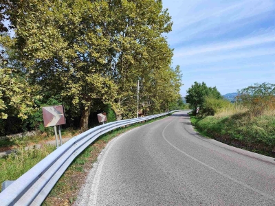 immagine annuncio 7 di 9