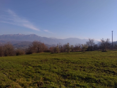 immagine annuncio 8 di 9