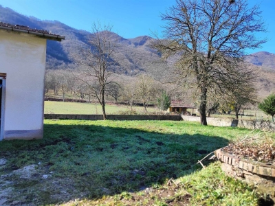 immagine annuncio 6 di 9