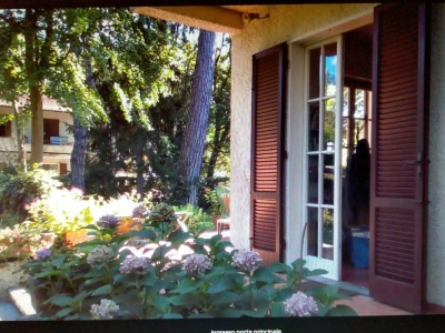 immagine annuncio 7 di 9