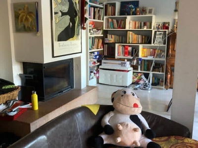 immagine annuncio 6 di 9