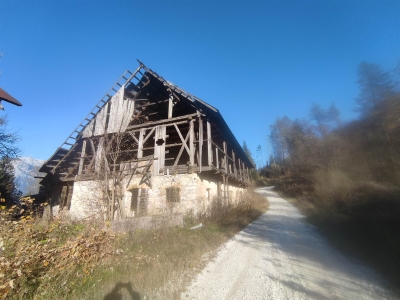 immagine annuncio 1 di 9