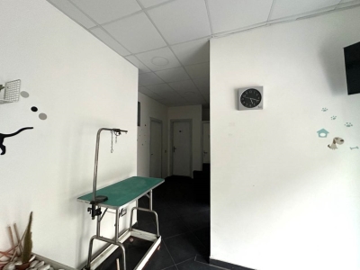 immagine annuncio 2 di 7