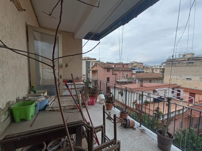 immagine annuncio 6 di 9