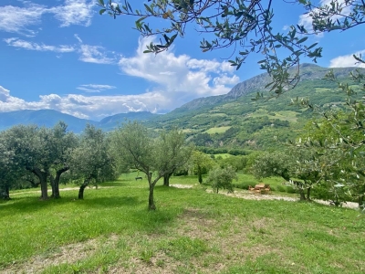 immagine annuncio 6 di 9