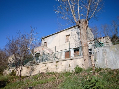 immagine annuncio 3 di 9