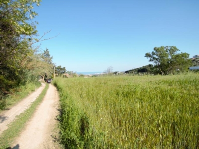 immagine annuncio 8 di 9