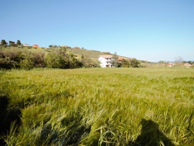 immagine annuncio 3 di 9