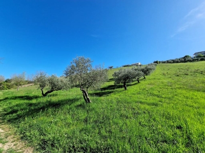 immagine annuncio 8 di 9