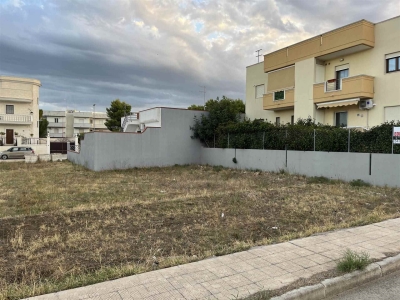 immagine annuncio 1 di 4