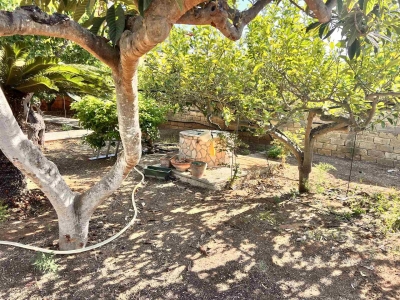 immagine annuncio 8 di 9