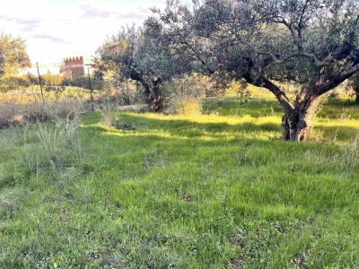 immagine annuncio 4 di 9