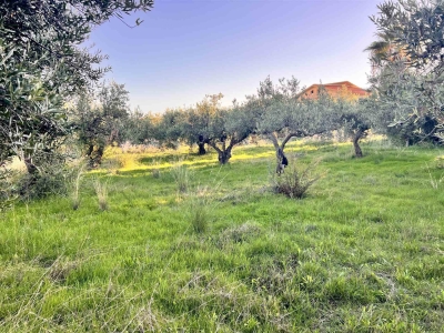 immagine annuncio 8 di 9