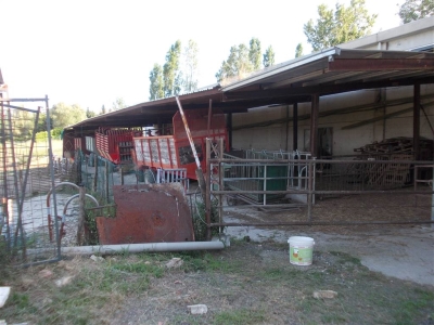 immagine annuncio 3 di 9