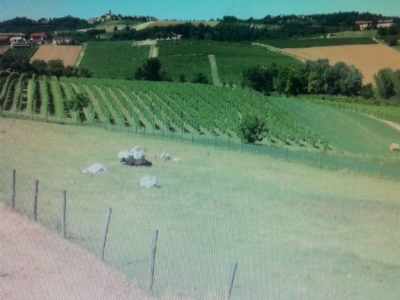 immagine annuncio 2 di 9