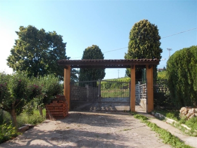 immagine annuncio 5 di 9