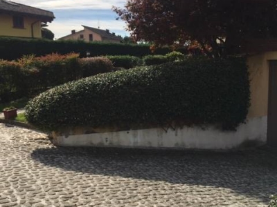 immagine annuncio 2 di 9