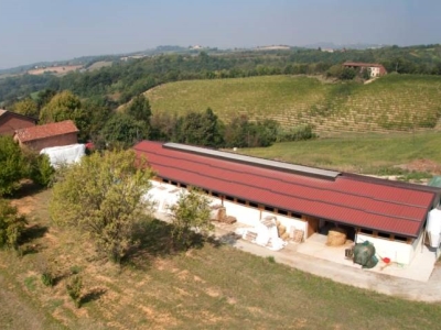 immagine annuncio 5 di 9