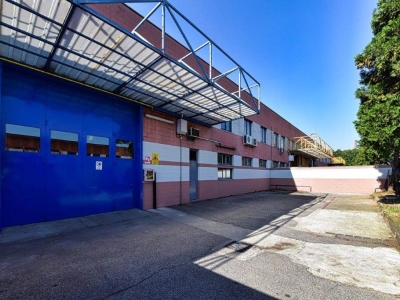 immagine annuncio 2 di 9