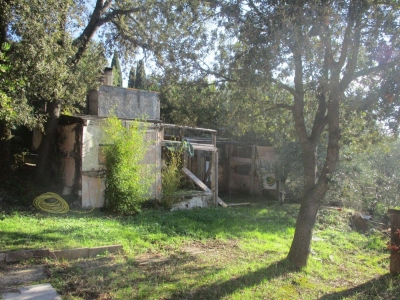 immagine annuncio 4 di 9