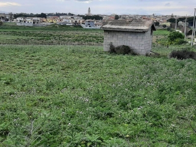 immagine annuncio 8 di 9