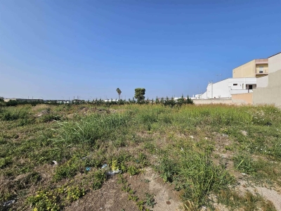 immagine annuncio 1 di 4