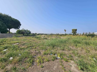 immagine annuncio 2 di 4