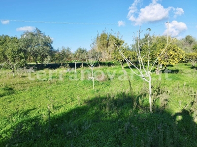 immagine annuncio 1 di 9