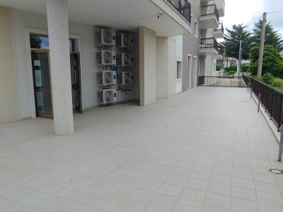 immagine annuncio 2 di 6