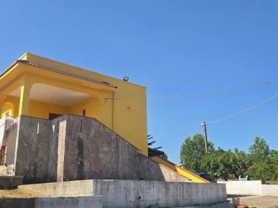 immagine annuncio 2 di 9