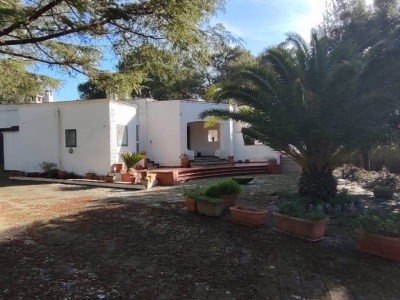 immagine annuncio 3 di 9