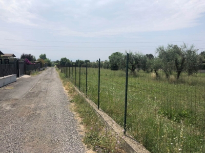 immagine annuncio 3 di 8